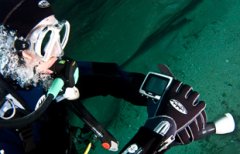 <b>���ѡ��Ǳˮ���Ա�?</b>