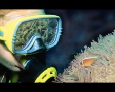 ��ͬ����Ǳˮ����澵ѡ��