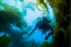 �����Ľ�ѵ�� ÿ������