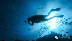 �����Ľ�ѵ��׹����Ԩ