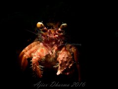 ˮ����Ӱ΢������68��