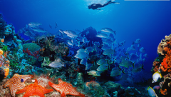 ������һ��Ǳˮ�㱻���ξ���˵�