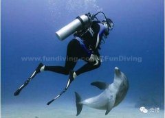 Ǳˮ���Ա�һ��Ҫ������?