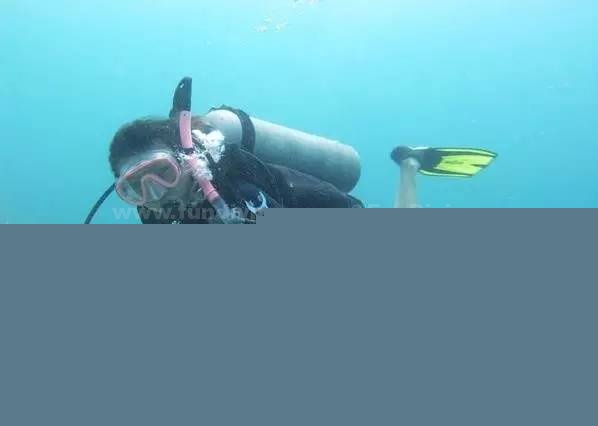 ����˵���顪��װ���أ���Ĳˡ�