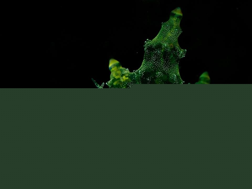 <b>ˮ����Ӱ΢������89��</b>